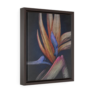 Framed Gallery Wrap Canvas - Paradise II, John Michael Dickinson