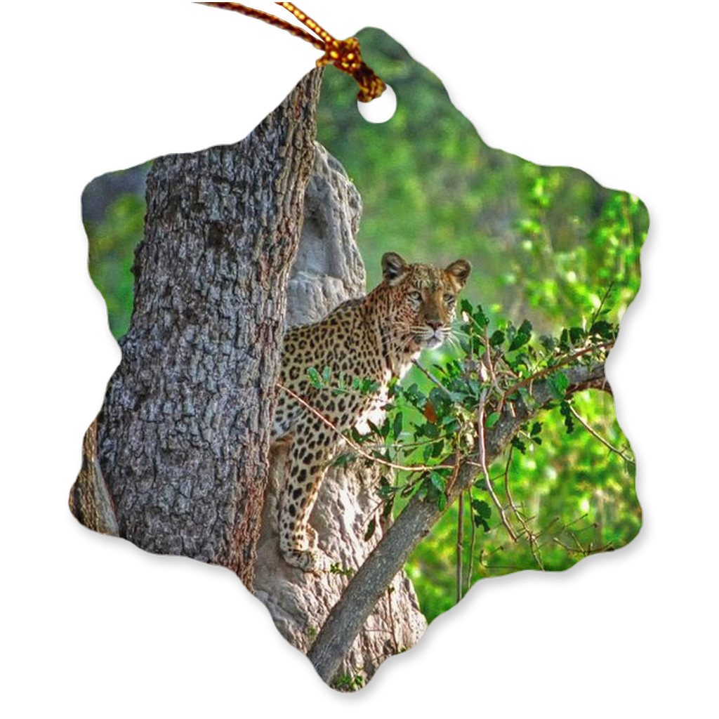 Porcelain Ornament - Leopard in Tree, Jeff Nadler - Free Shipping
