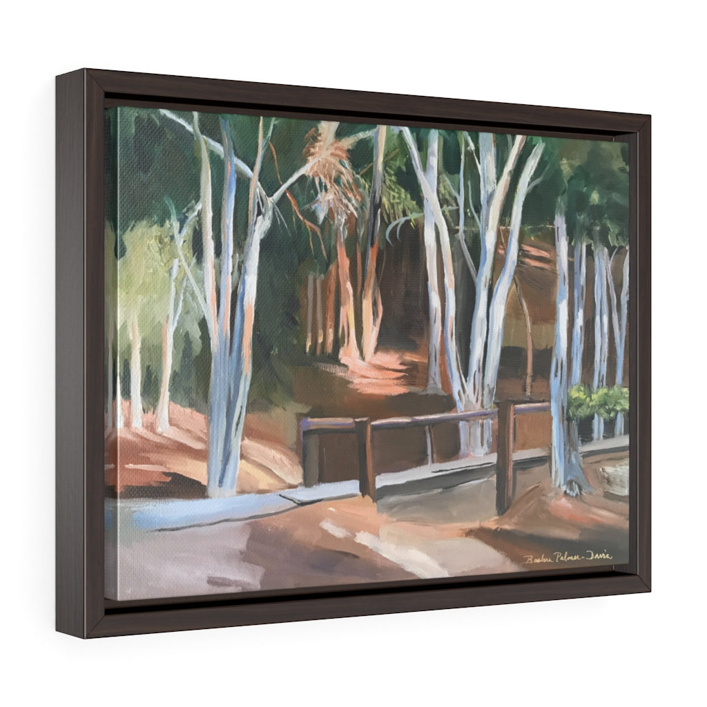 Framed Gallery Wrap Canvas - Eucalyptus Grove, Barbara Palmer-Davis