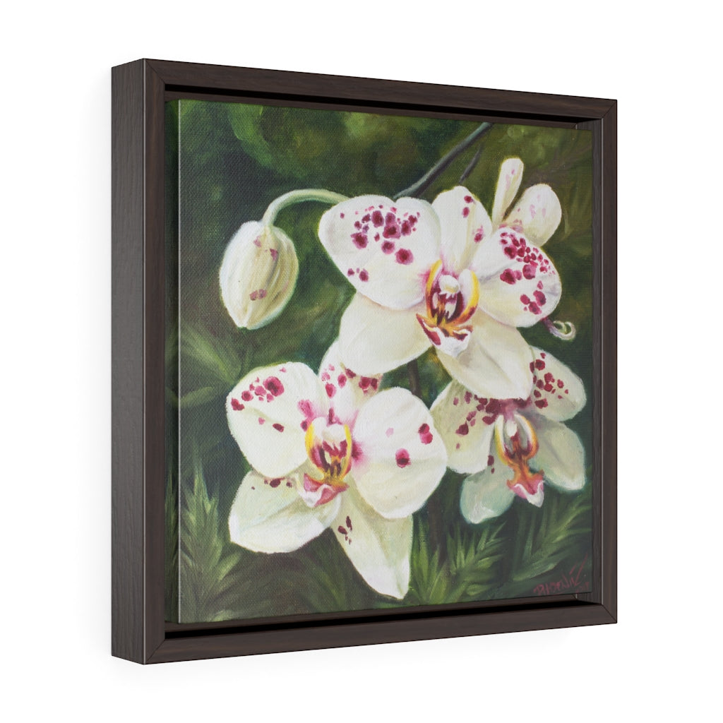 Framed Gallery Wrap - Hawaiian Blooms #2, Phoebe Siemion
