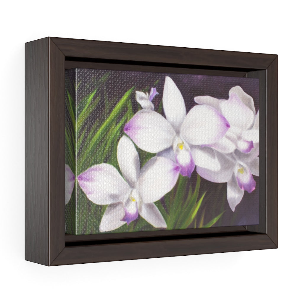 Framed Gallery Wrap - Spray of Delight, Phoebe Siemion