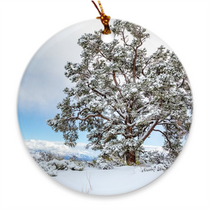 Porcelain Ornament - Winter Tree, Shannon Windsor