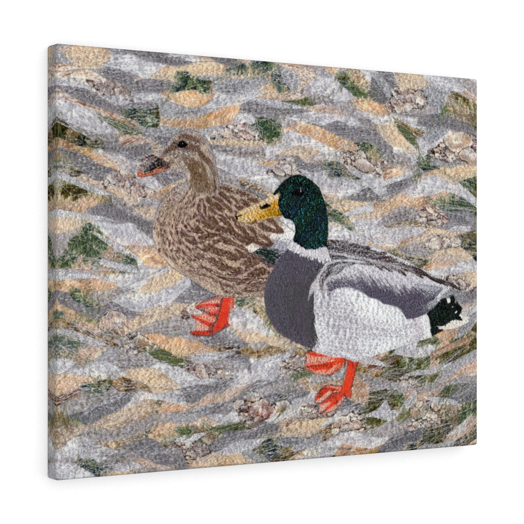 Gallery Wrap - Suburban Wild - Ducks at the Lake, Loretta Alvarado