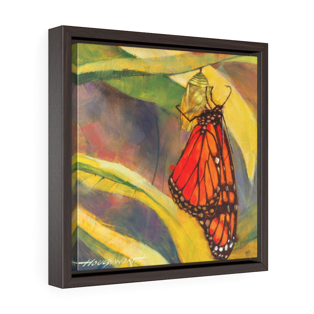 Framed Gallery Wrap - Butterfly, Terry Houseworth