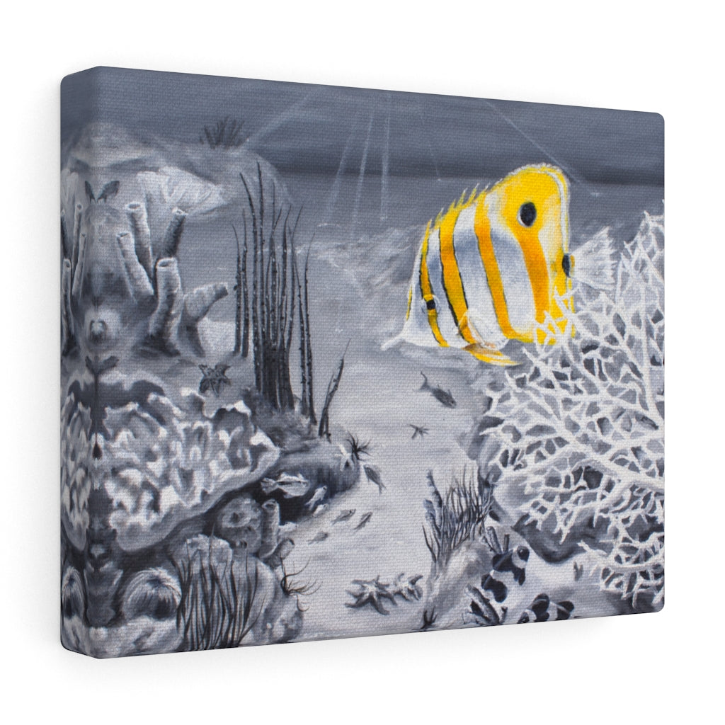 Gallery Wrap - Coral Reef #2, Phoebe Siemion