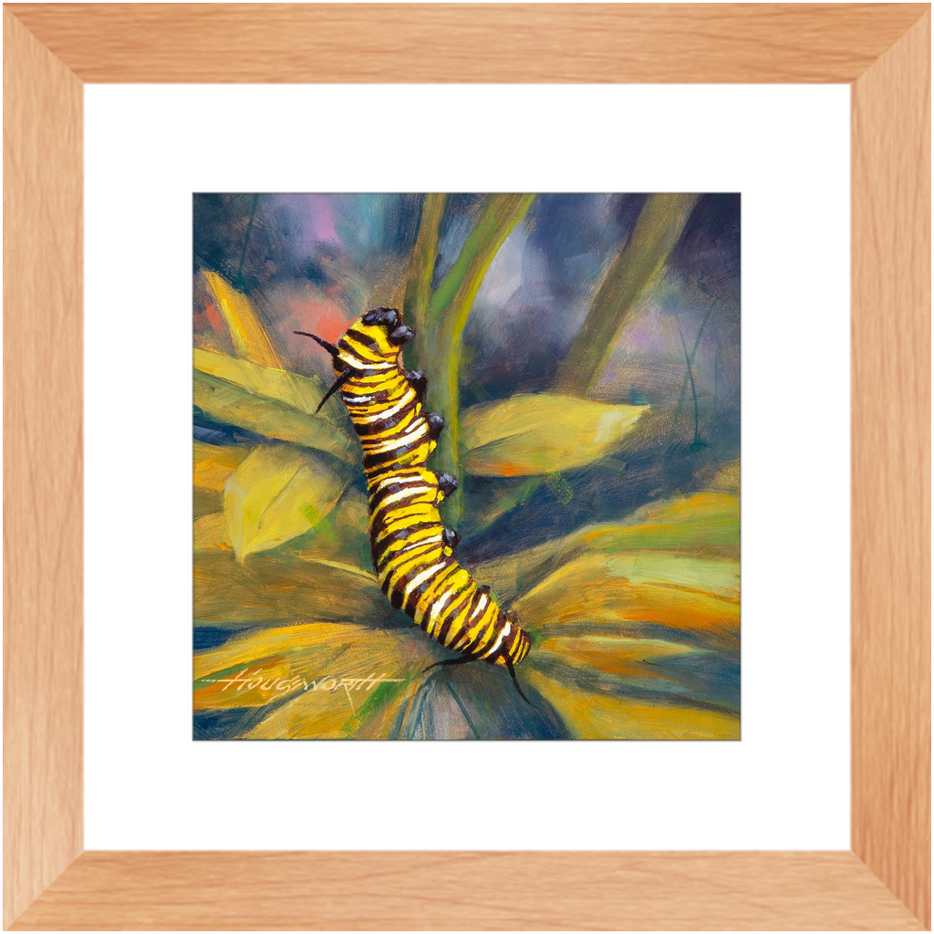 Framed Print - Caterpillar, Terry Houseworth