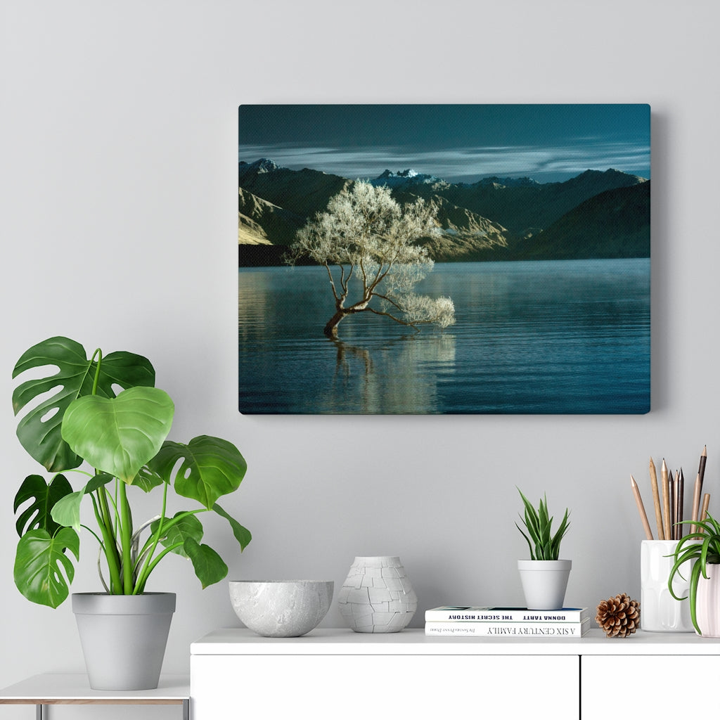 Gallery Wrap - Lake Wanaka Tree, New Zealand, Pat Cahill