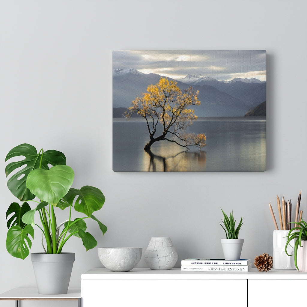 Gallery Wrap - Wanaka Tree, Michael Cahill