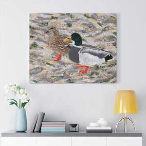 Gallery Wrap - Suburban Wild - Ducks at the Lake, Loretta Alvarado