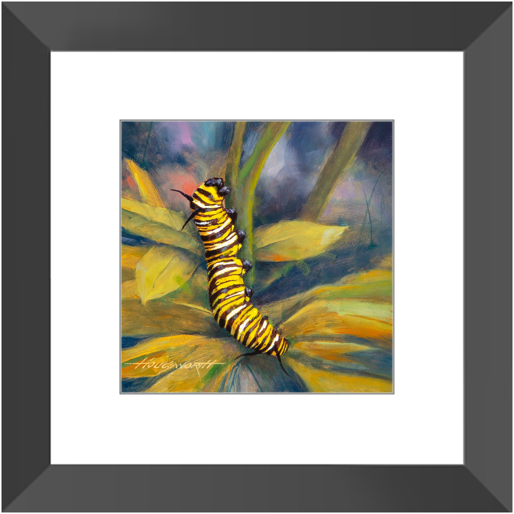 Framed Print - Caterpillar, Terry Houseworth