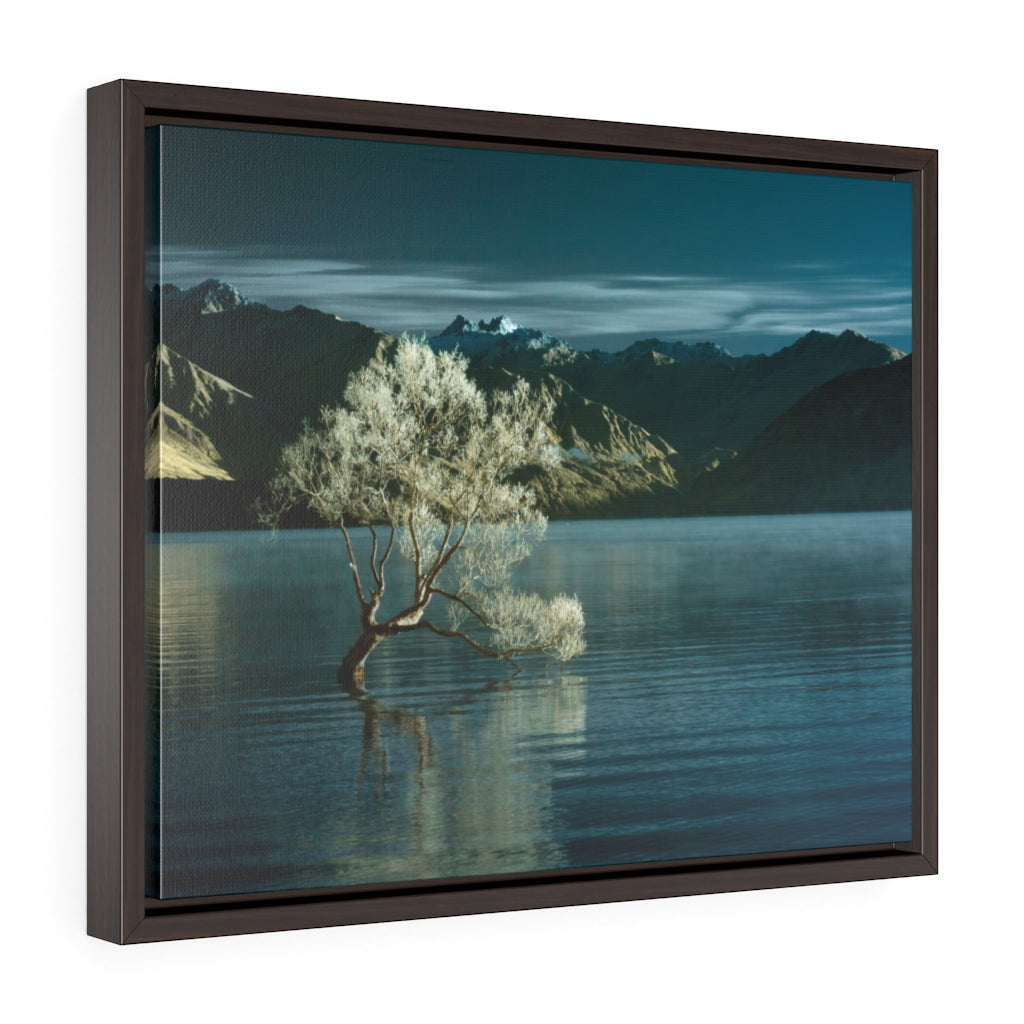 Framed Gallery Wrap - Lake Wanaka Tree, New Zealand, Pat Cahill