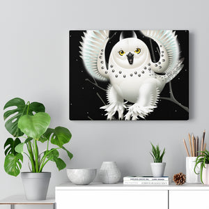 Gallery Wrap - Snowy Owl, Amy Ning