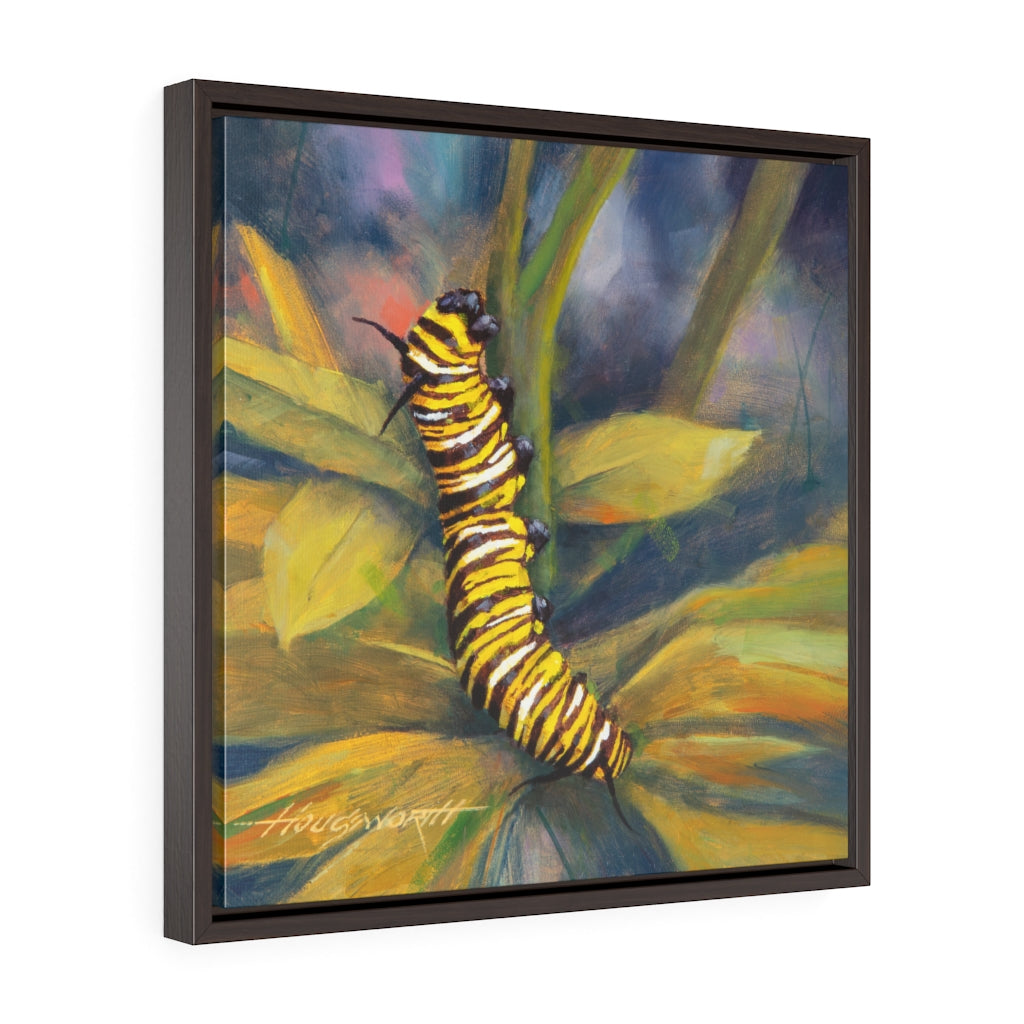 Framed Gallery Wrap - Caterpillar, Terry Houseworth