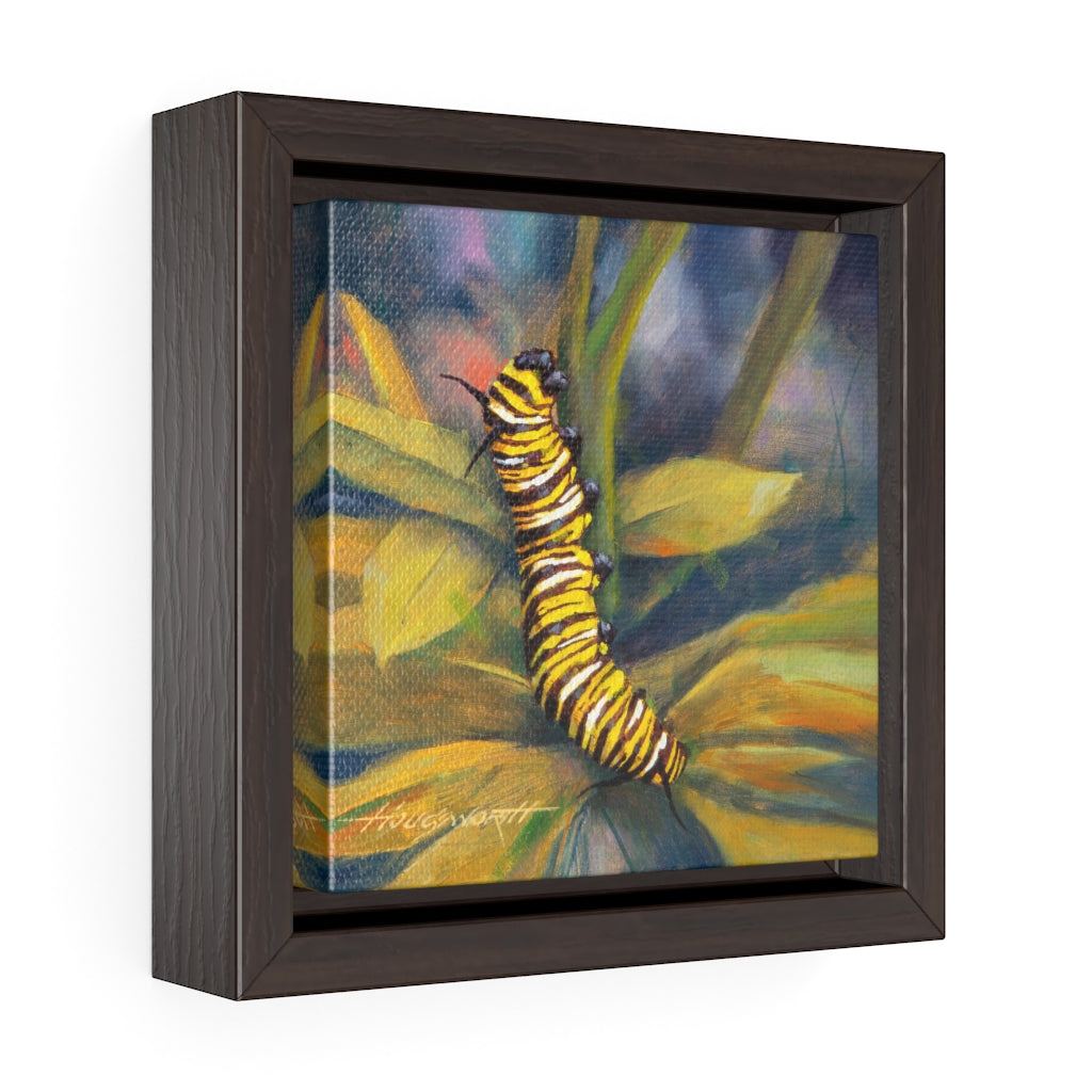 Framed Gallery Wrap - Caterpillar, Terry Houseworth