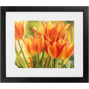 Framed Print - Jimenez Street Tulips, Debby Fleming-Mellor