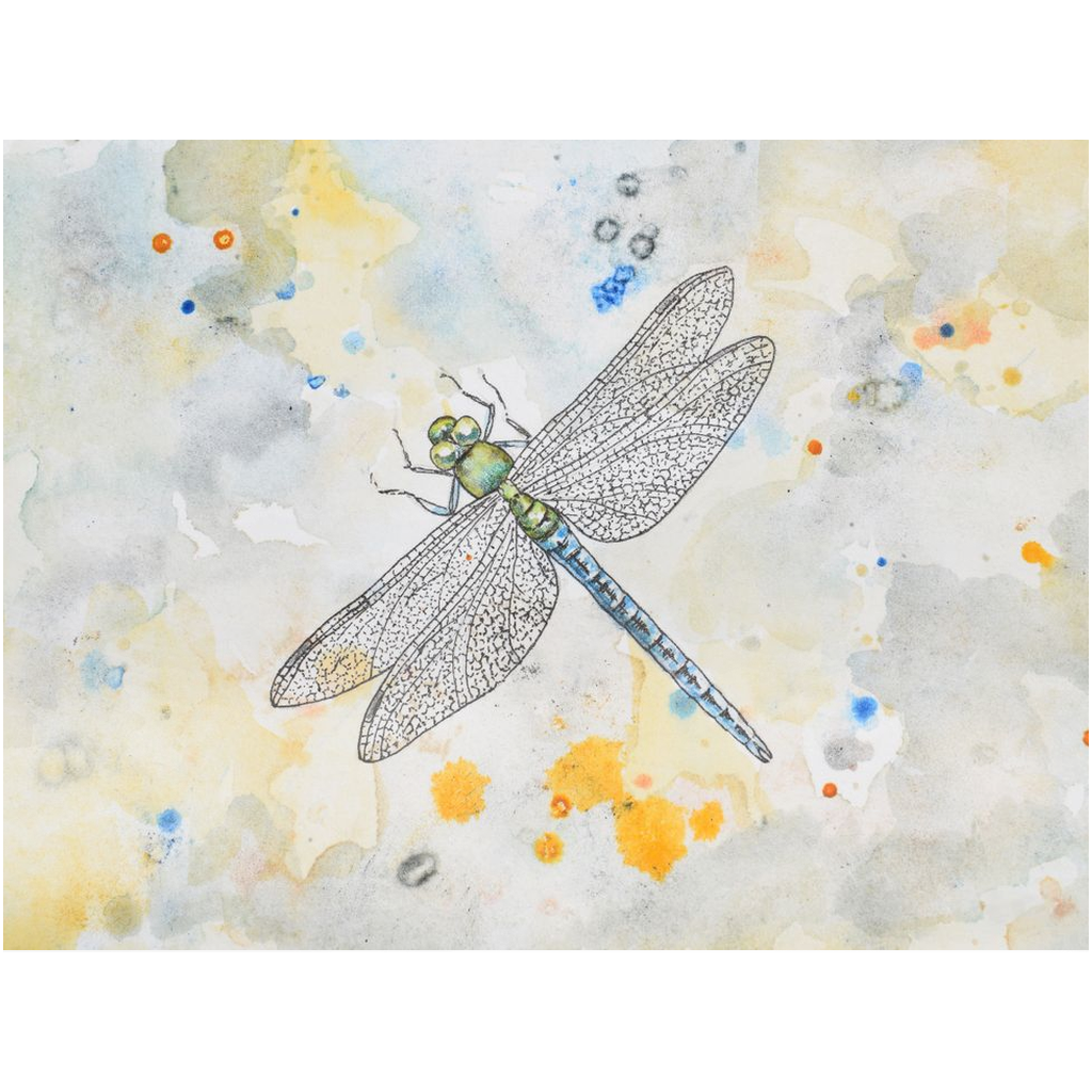 Metal Print - Blue Dragonfly, Cheryl Buhler