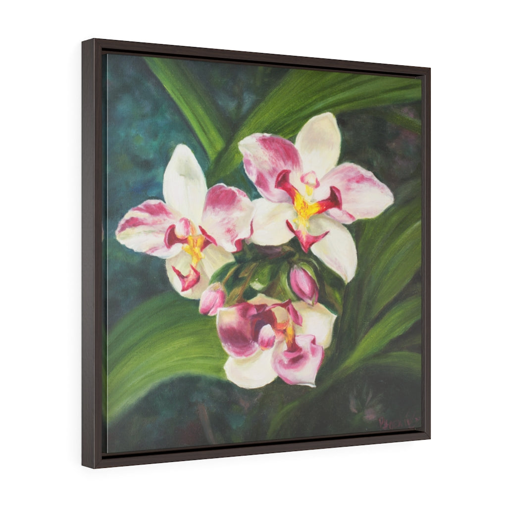 Framed Gallery Wrap - Hawaiian Blooms #1, Phoebe Siemion