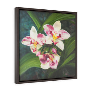 Framed Gallery Wrap - Hawaiian Blooms #1, Phoebe Siemion