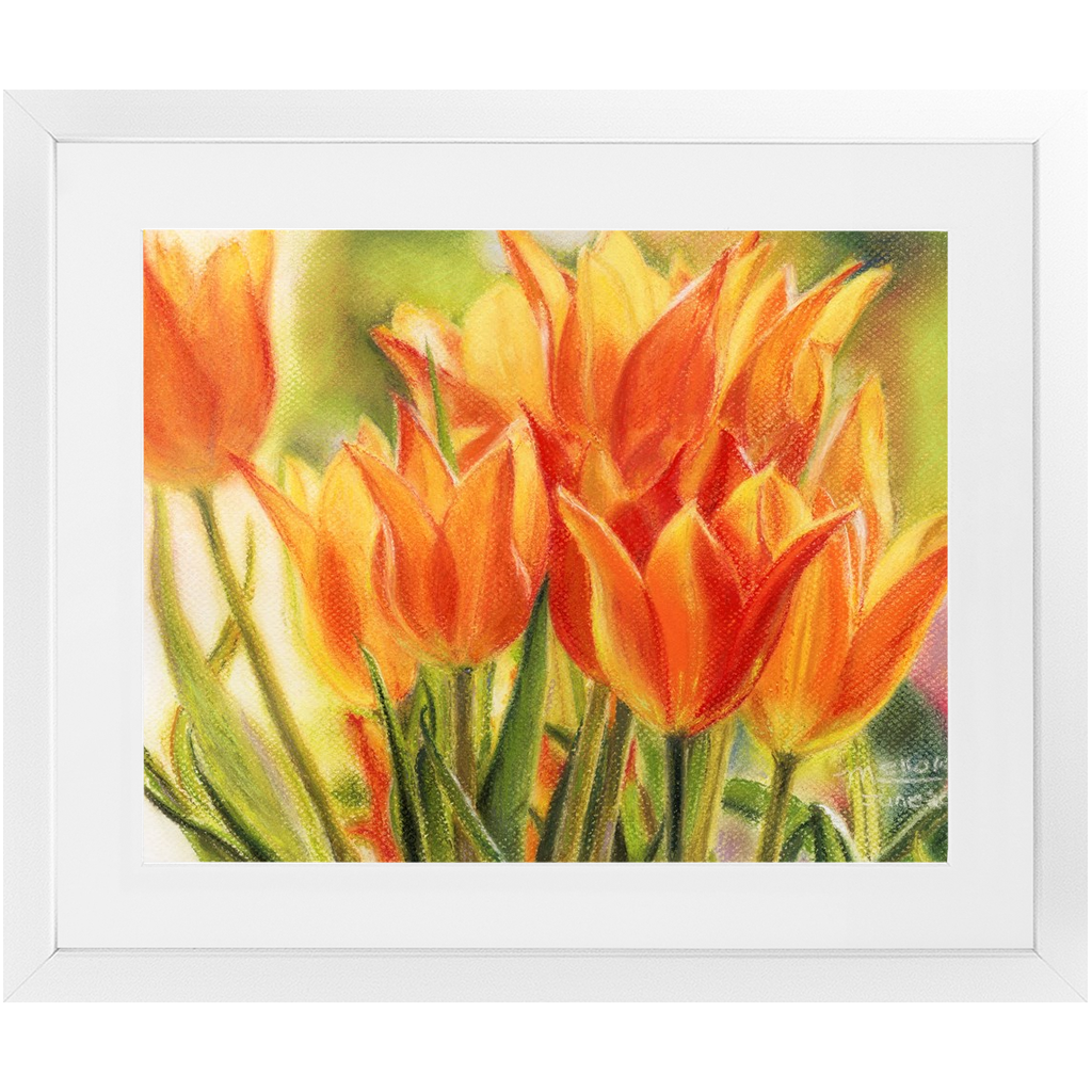Framed Print - Jimenez Street Tulips, Debby Fleming-Mellor