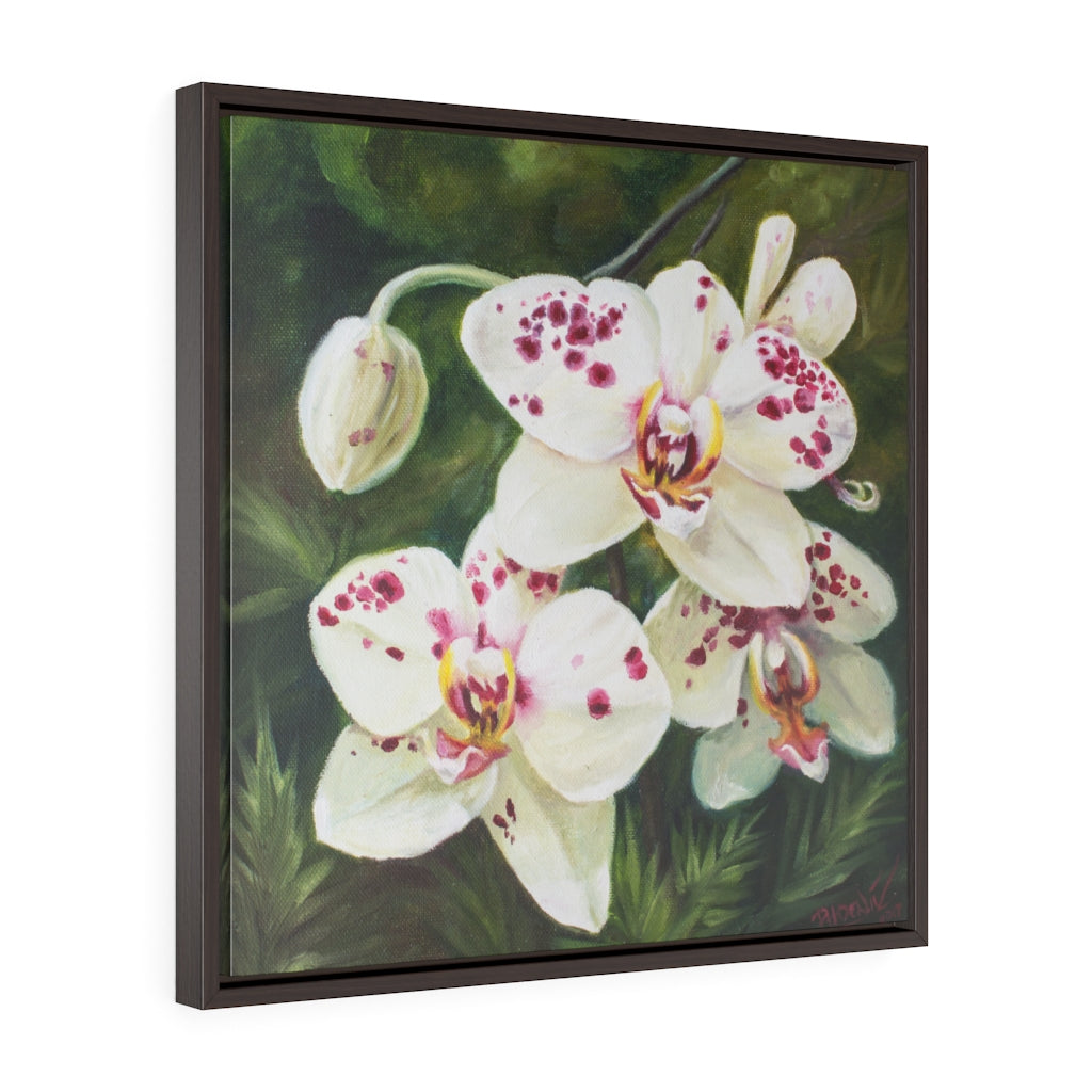 Framed Gallery Wrap - Hawaiian Blooms #2, Phoebe Siemion