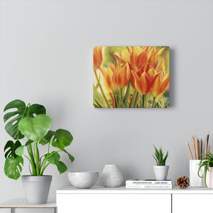Gallery Wrap - Jimenez Street Tulips, Debby Fleming-Mellor