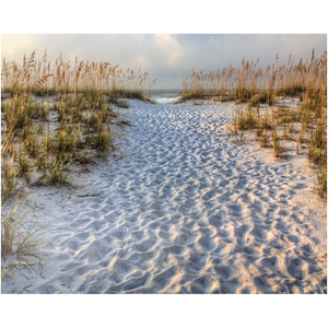 Metal Print - Sand Path - Pensacola Beach, Florida, Michael Cahill