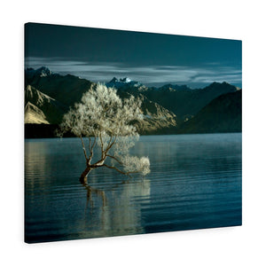Gallery Wrap - Lake Wanaka Tree, New Zealand, Pat Cahill