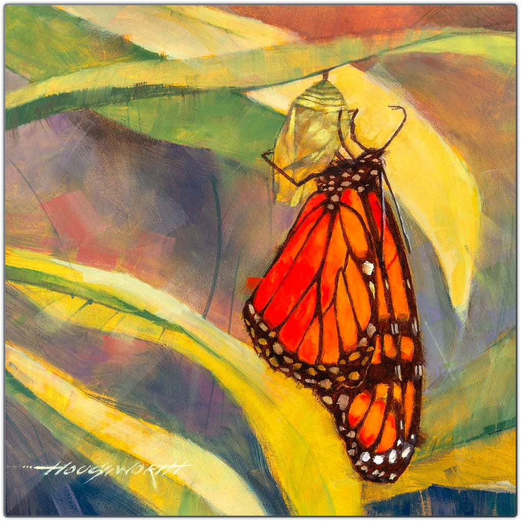 Metal Print - Butterfly, Terry Houseworth
