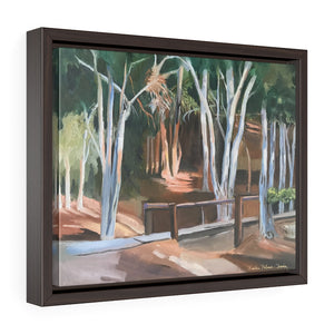 Framed Gallery Wrap Canvas - Eucalyptus Grove, Barbara Palmer-Davis