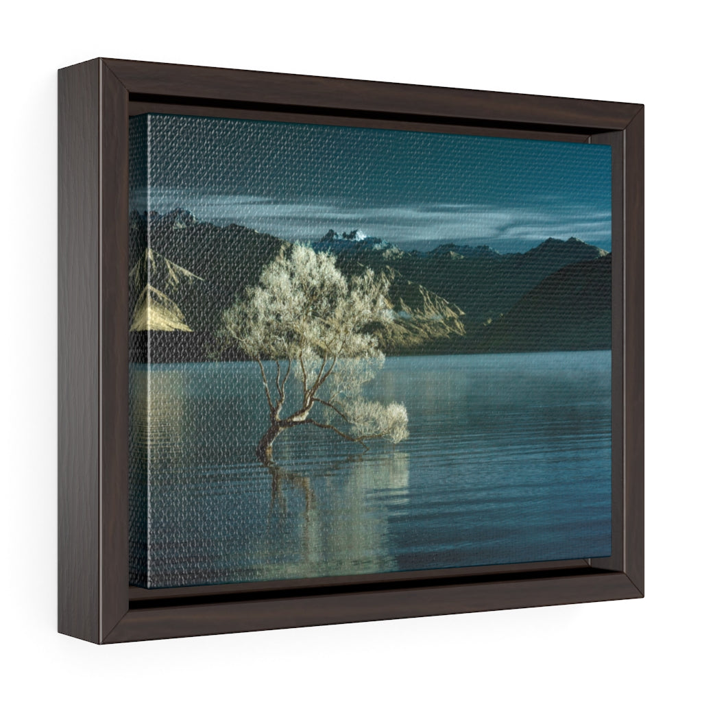 Framed Gallery Wrap - Lake Wanaka Tree, New Zealand, Pat Cahill