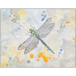 Metal Print - Blue Dragonfly, Cheryl Buhler