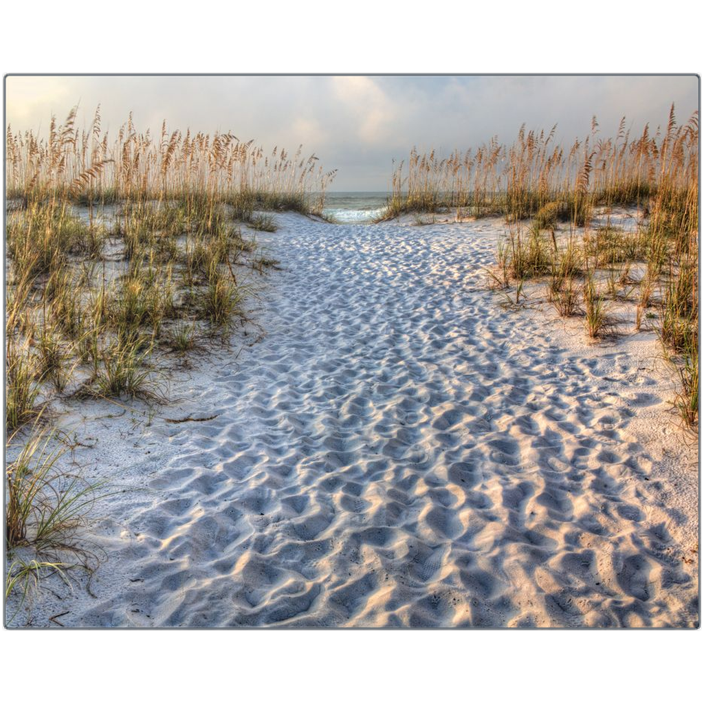 Metal Print - Sand Path - Pensacola Beach, Florida, Michael Cahill