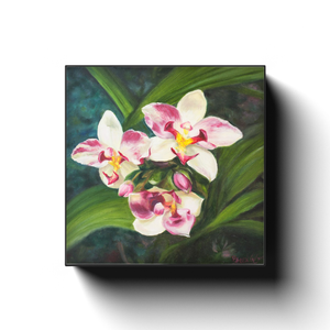 Gallery Wrap - Hawaiian Blooms #1, Phoebe Siemion